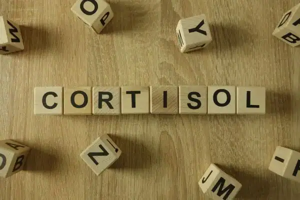 The Hidden Connection: How Stress Shapes Your Fitness and Body Composition 2 Image saying "Cortisol" and how stress Walton on the Hill impacts your wellbeing and bodies shape